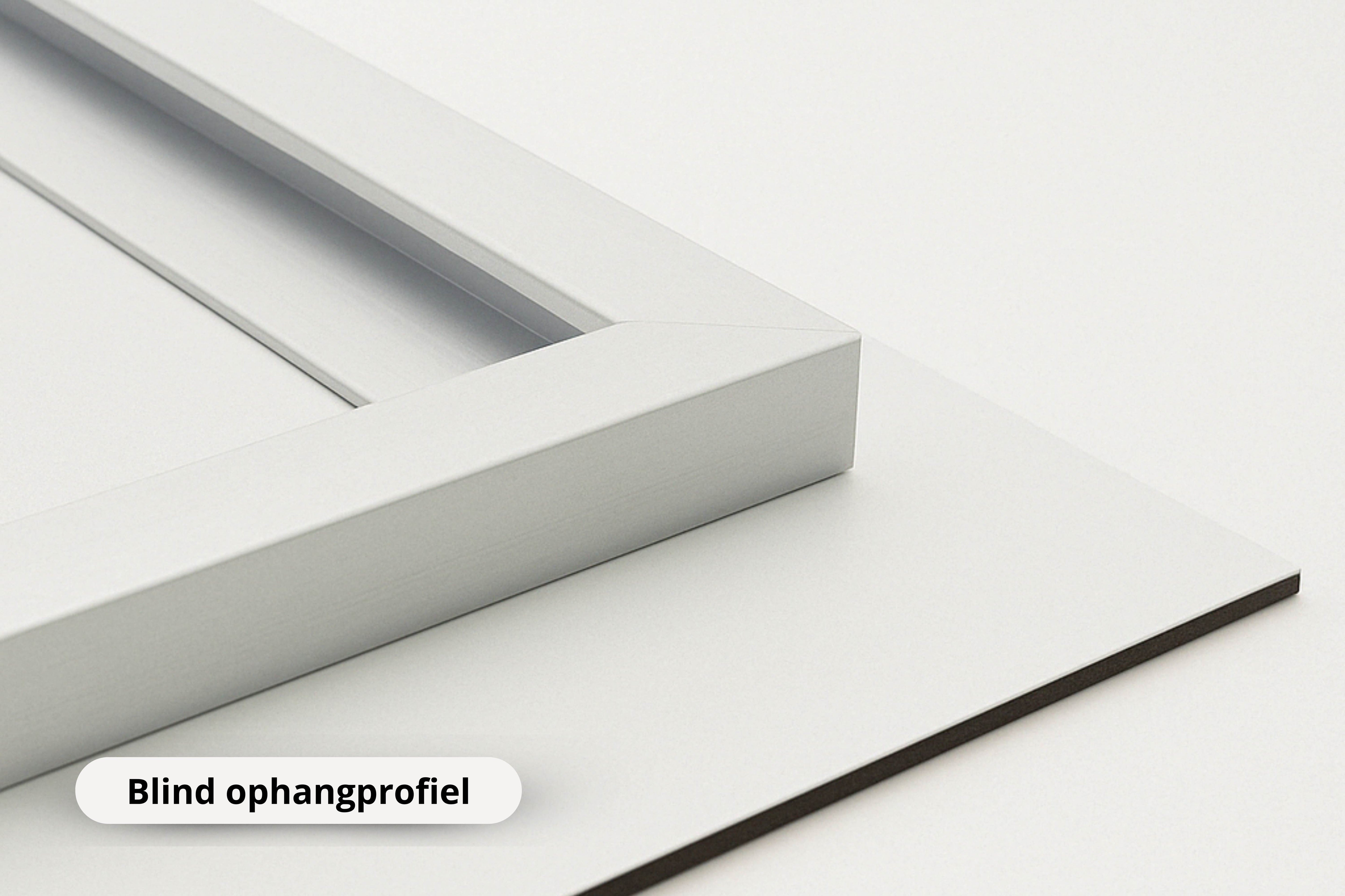 Alleen aan de waterlijn Kunstwerk-canvas-dibond-plexiglas-wanddecoratie-WallArtistic