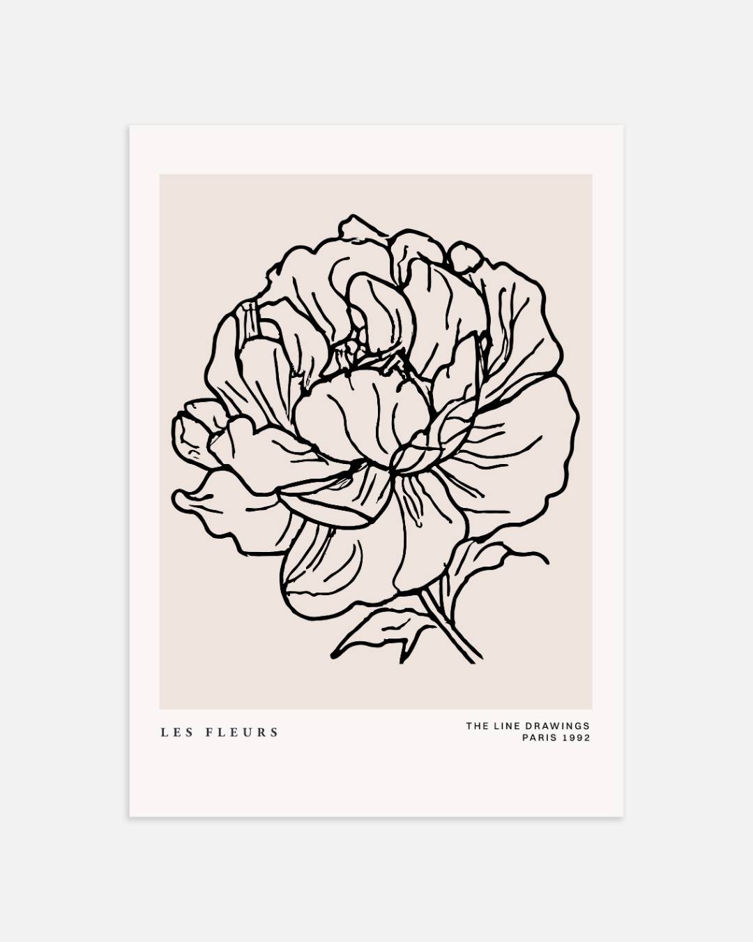 Botanische bloemen Poster