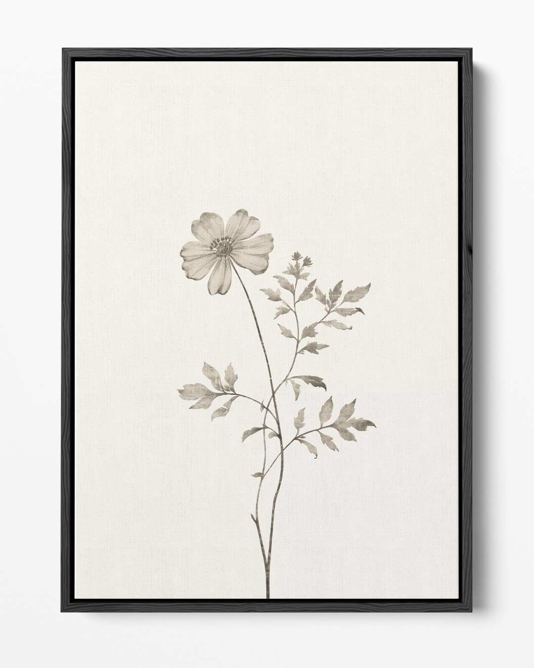 Delicate Bloemenstudie Kunstwerk-canvas-dibond-plexiglas-wanddecoratie-WallArtistic