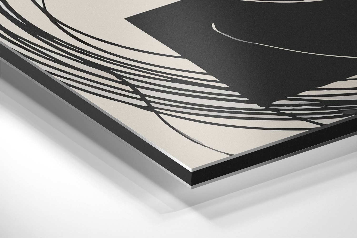 Abstracte Kringen in Zwart-Wit Kunstwerk-canvas-dibond-plexiglas-wanddecoratie-WallArtistic