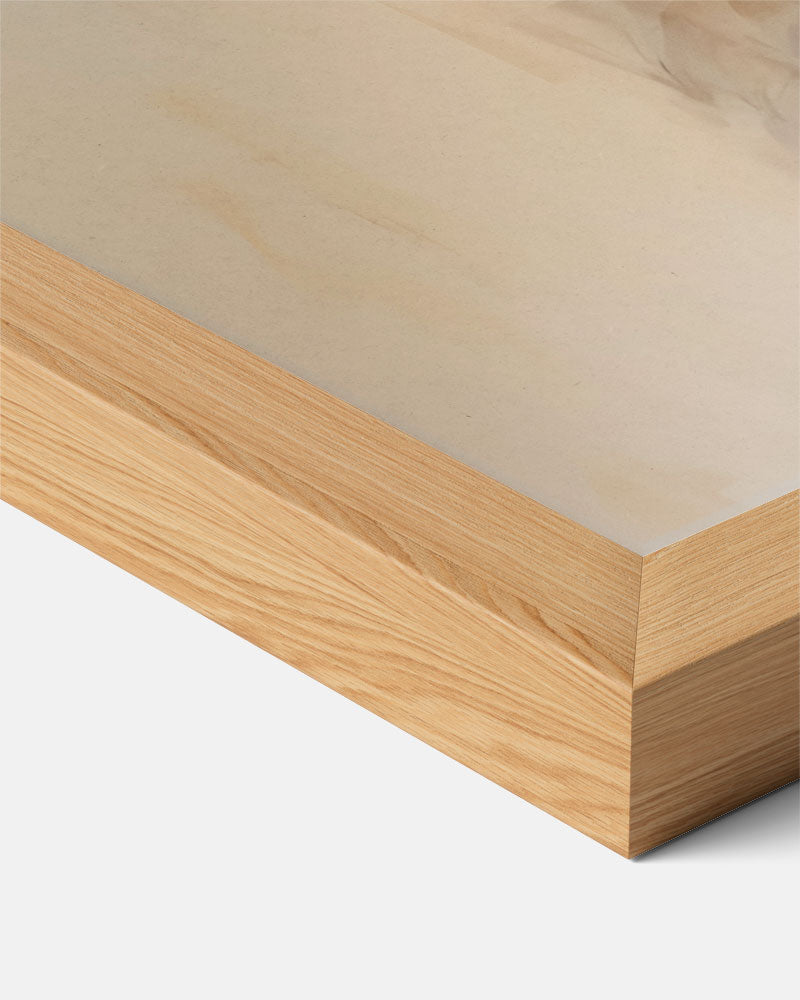 Zachte Dromer met Bloemen Poster-WallArtistic