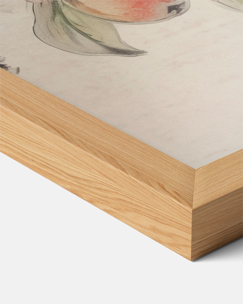 Kunstzinnige Appeltak Wanddecoratie Poster-WallArtistic