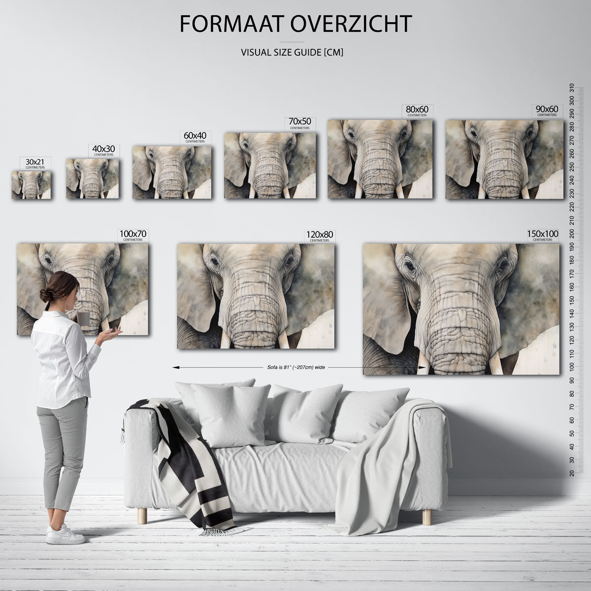 Olifant portret Poster