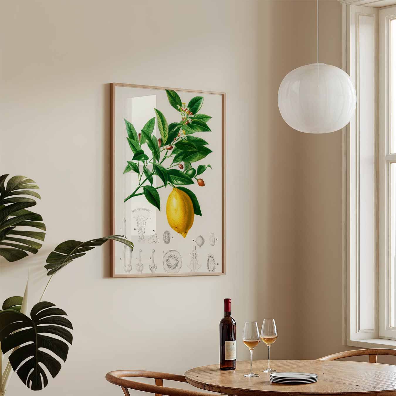 Botanische Citroen Illustratie Poster
