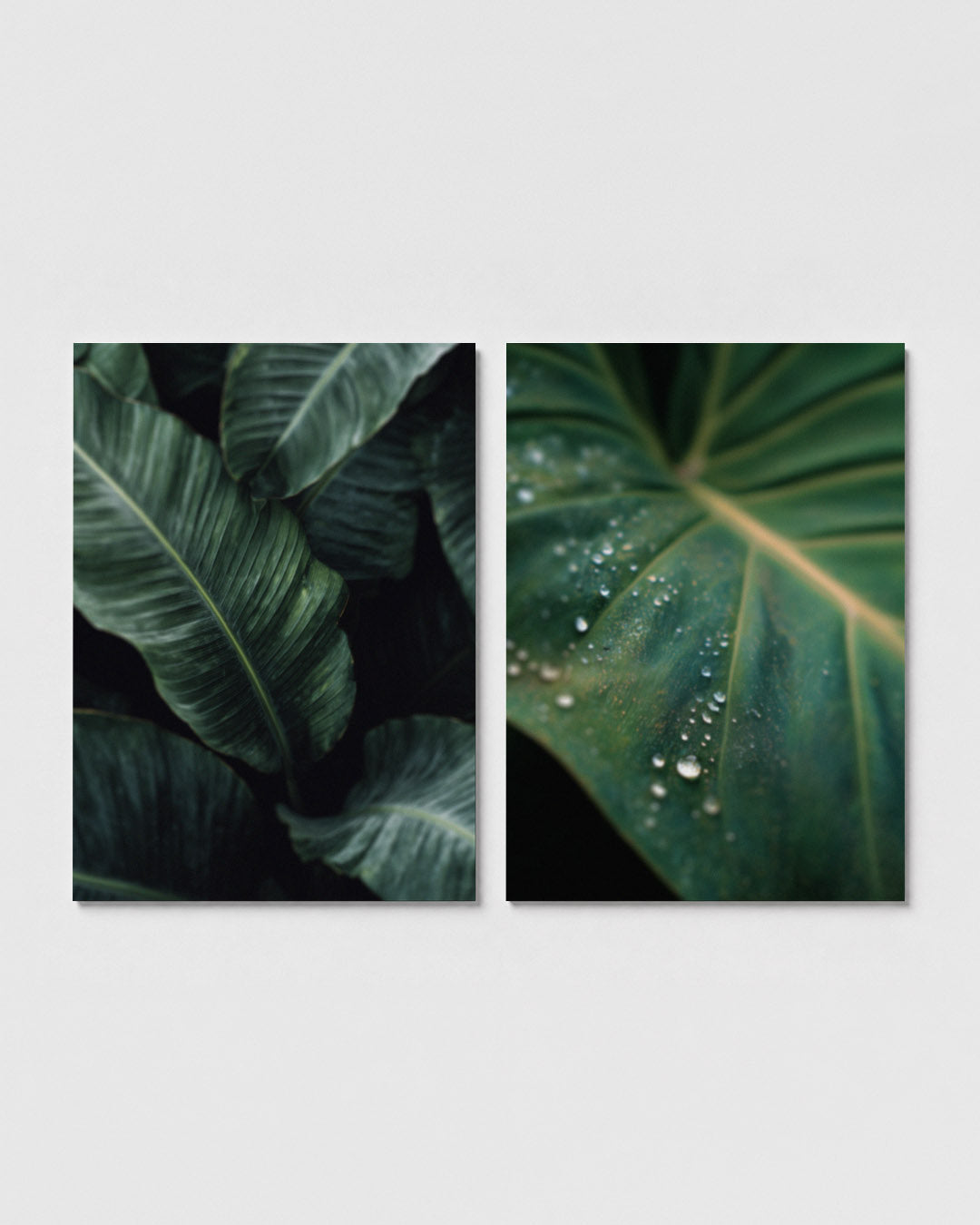 Groene bladtexturen Posterset