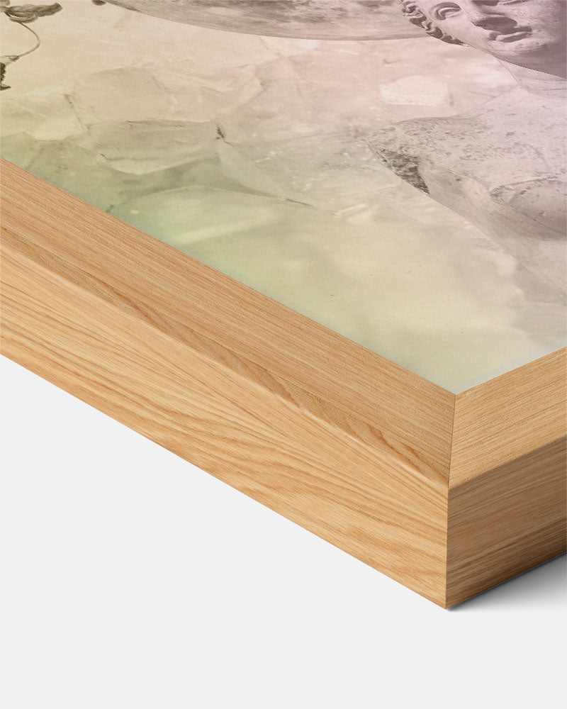 Abstracte Poster-WallArtistic