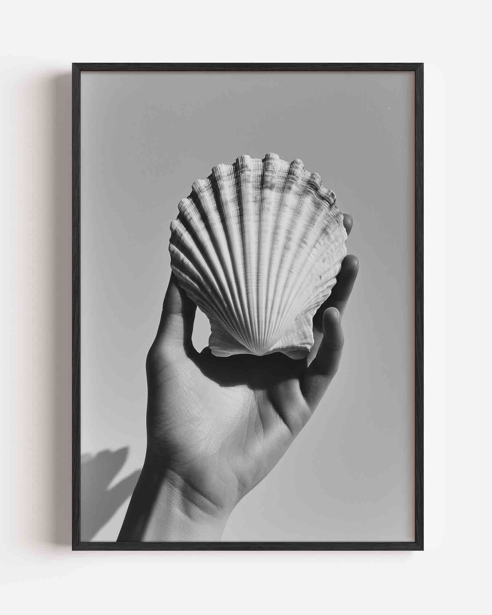 Schelp in hand Poster