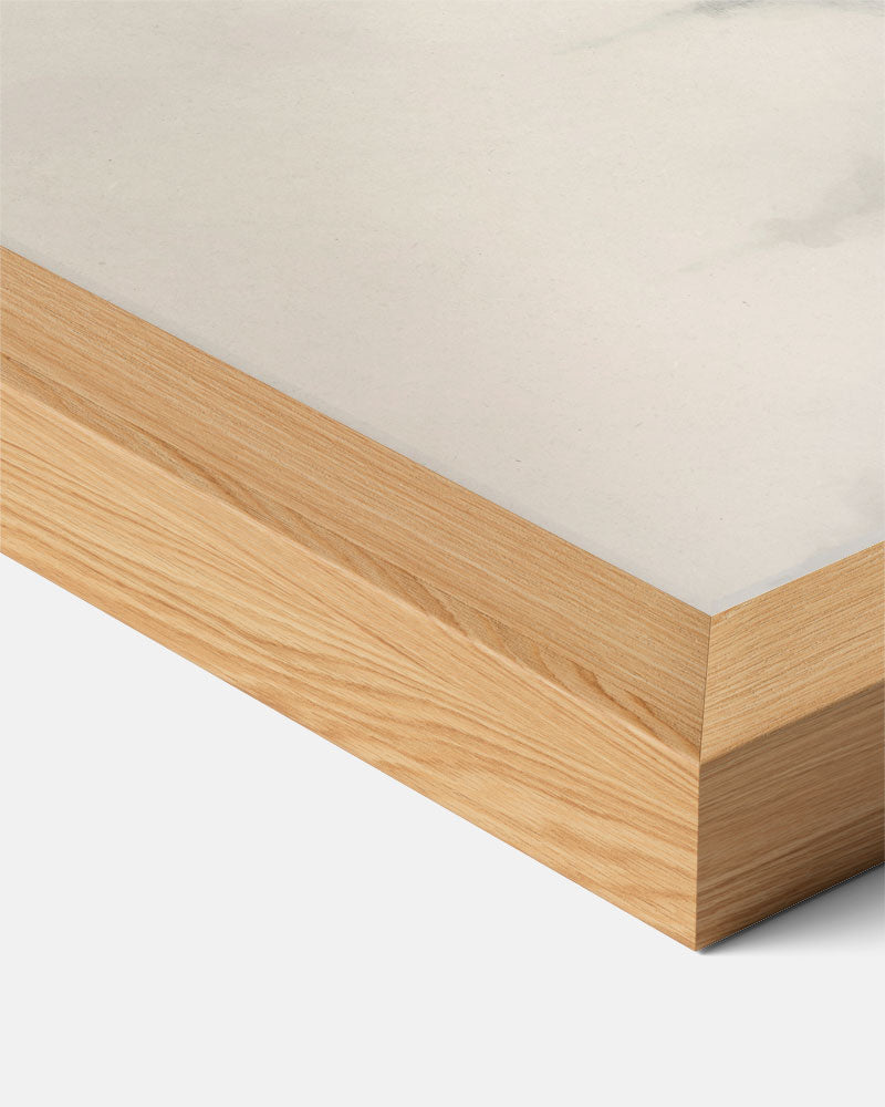 Mystieke Winterbos Poster-WallArtistic