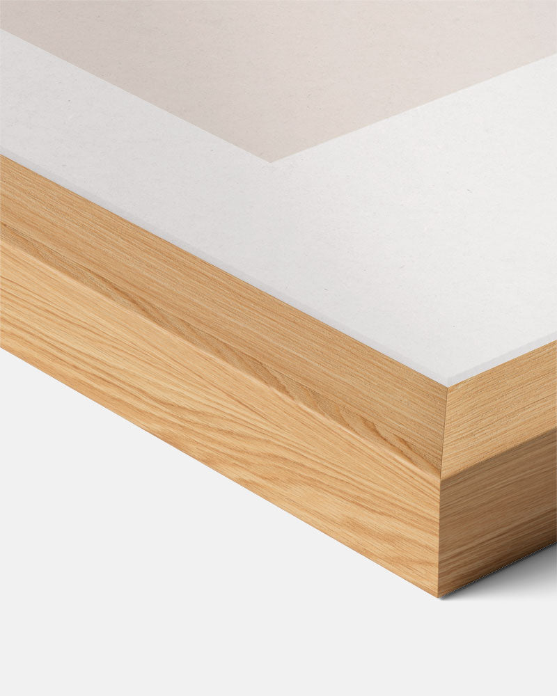 Minimalistische Bladeren Illustratie Poster-WallArtistic