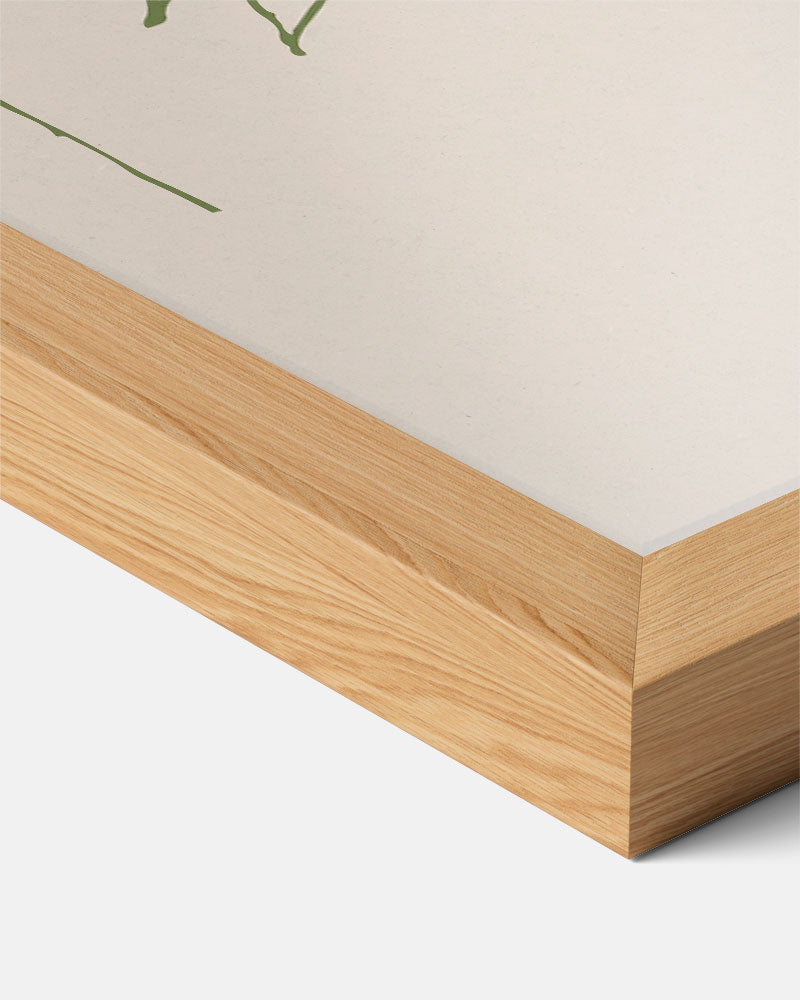 Botanische Kunstposter in Lijntekening Poster-WallArtistic