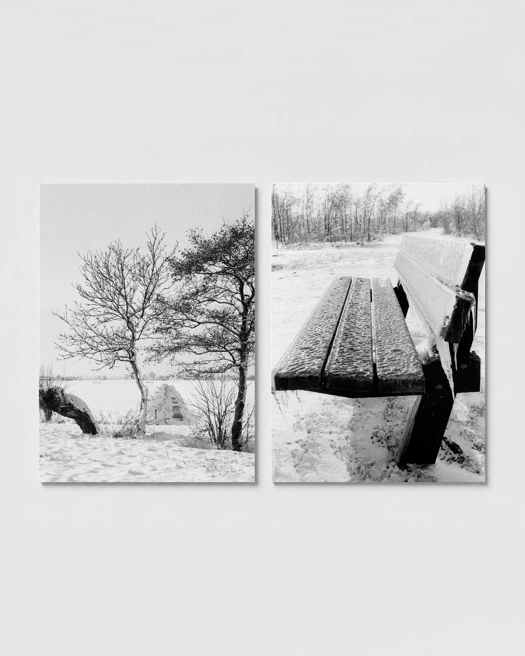Winterse boomlijnen Posterset