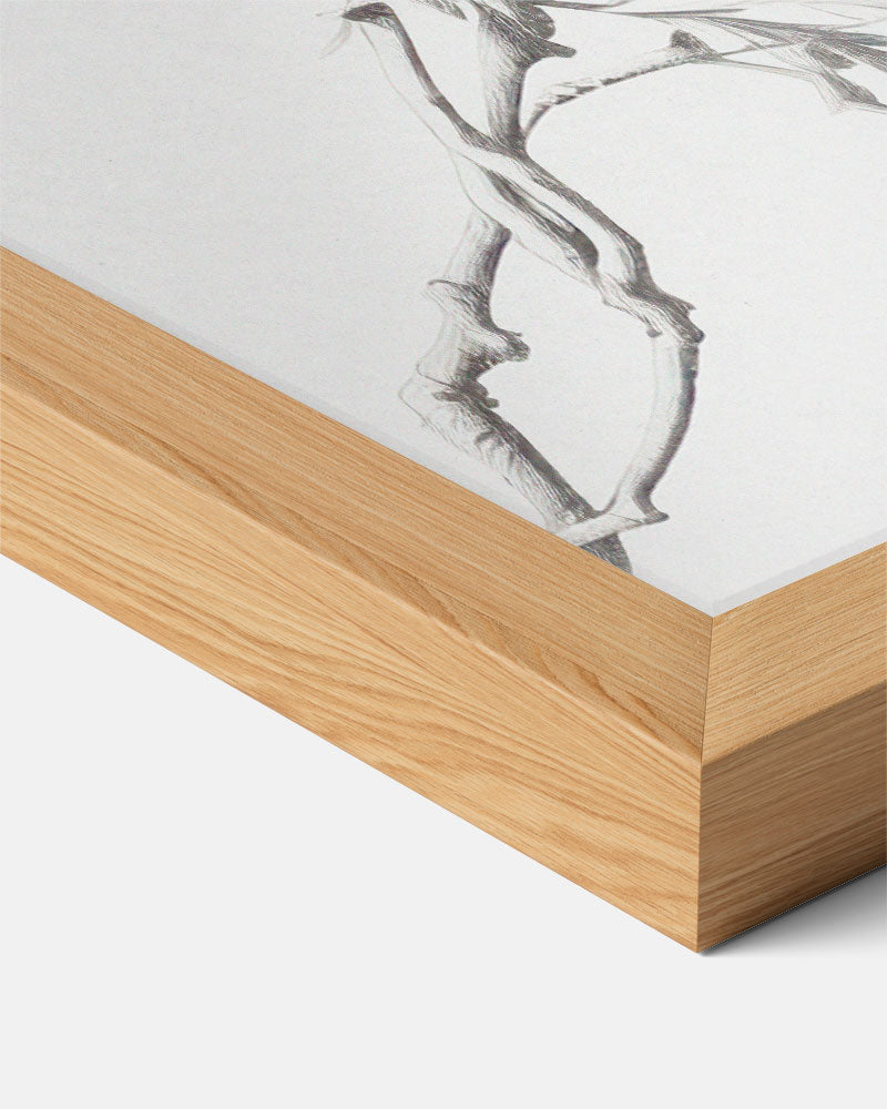 Abstracte Poster-WallArtistic