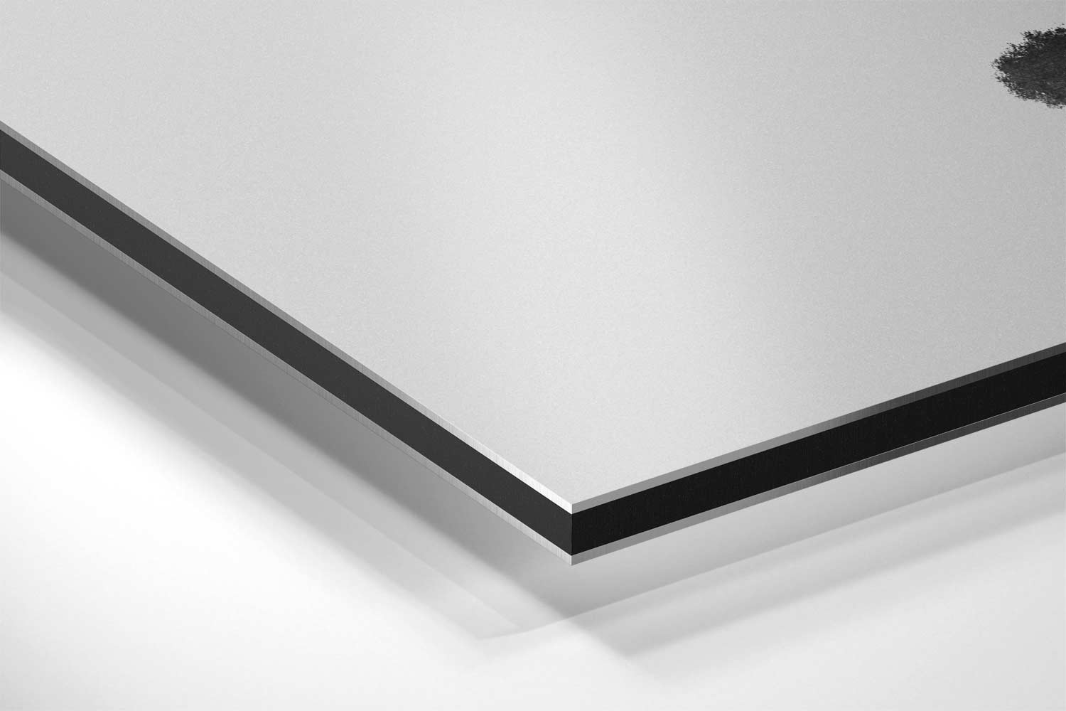 Vliegende Kranen in de Natuur Kunstwerk-canvas-dibond-plexiglas-wanddecoratie-WallArtistic