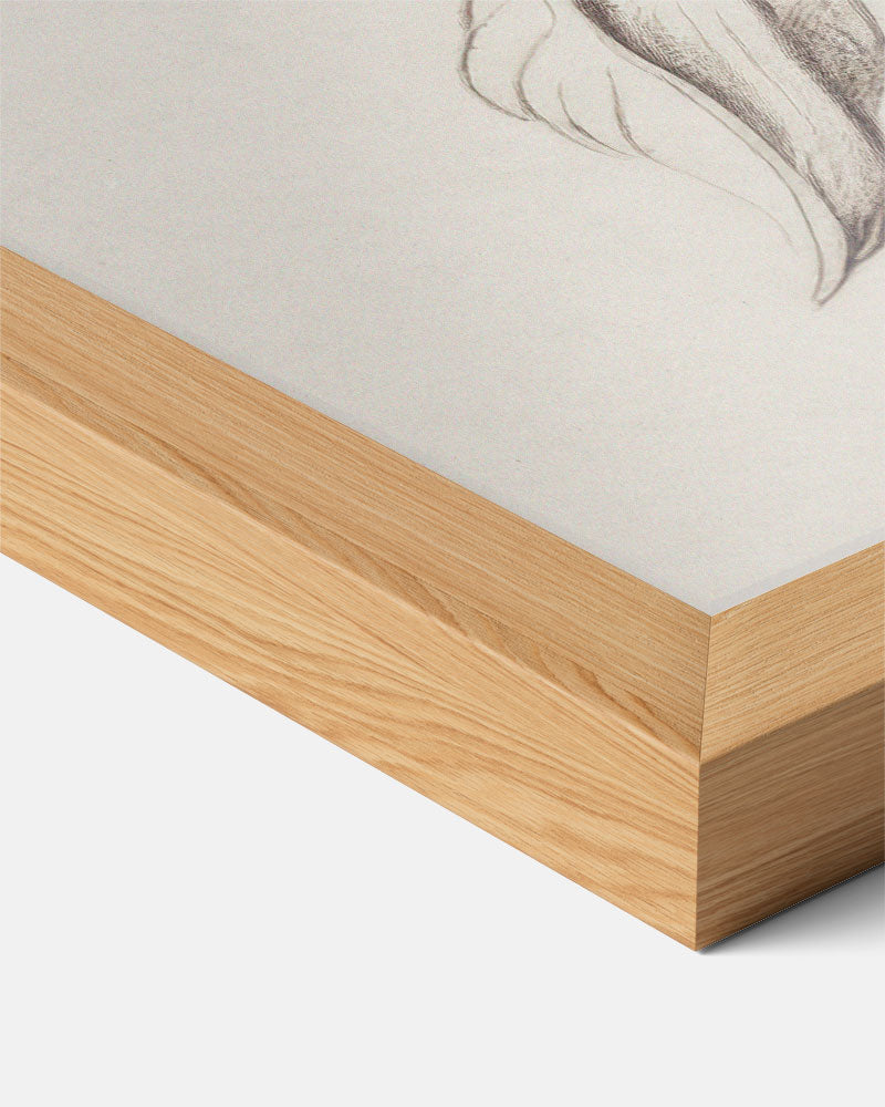 Abstracte Poster-WallArtistic