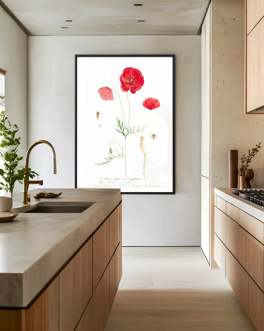 Botanische Print met Rode Klaproos Kunstwerk-canvas-dibond-plexiglas-wanddecoratie-WallArtistic