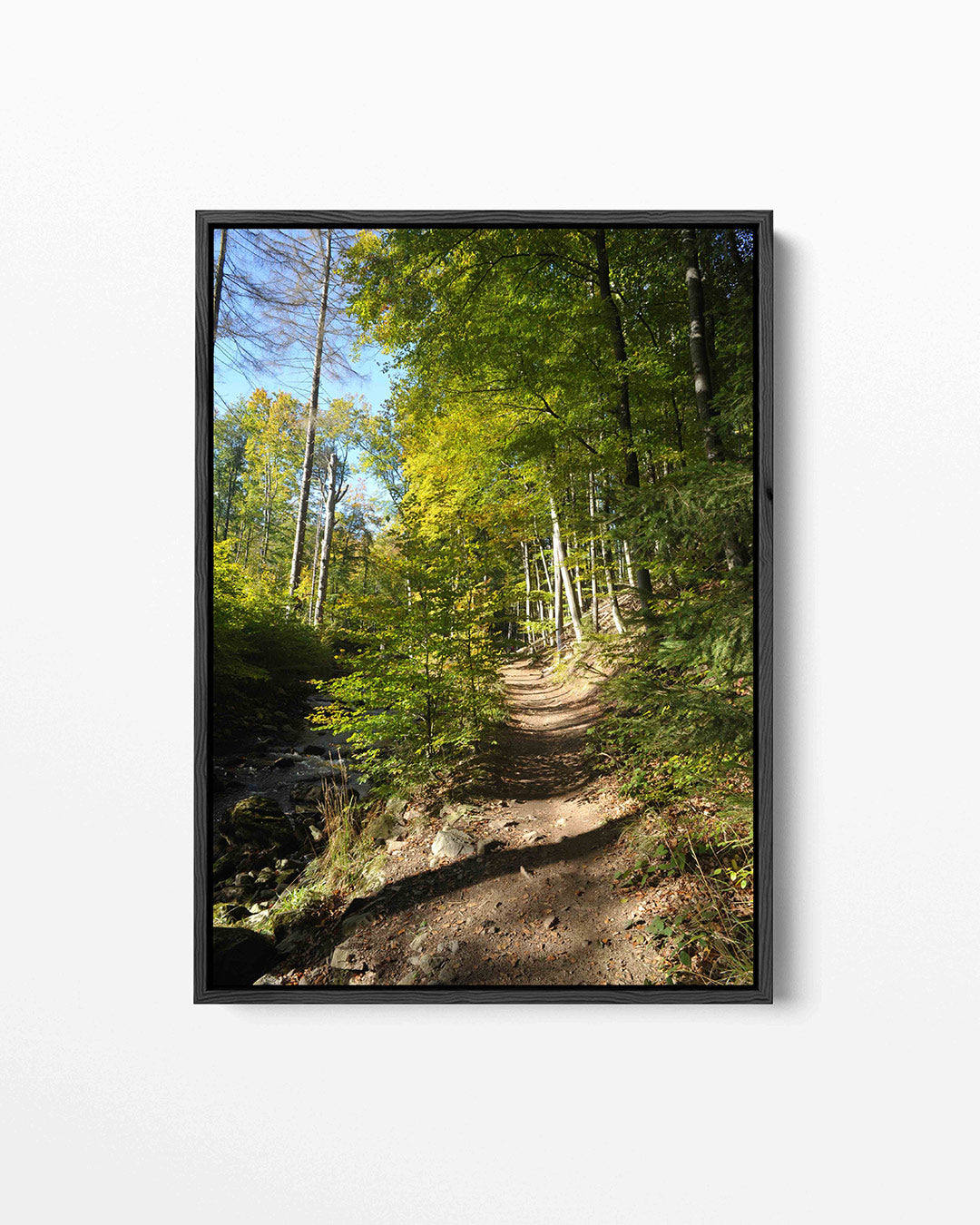 Boswandeling in de herfst Kunstwerk