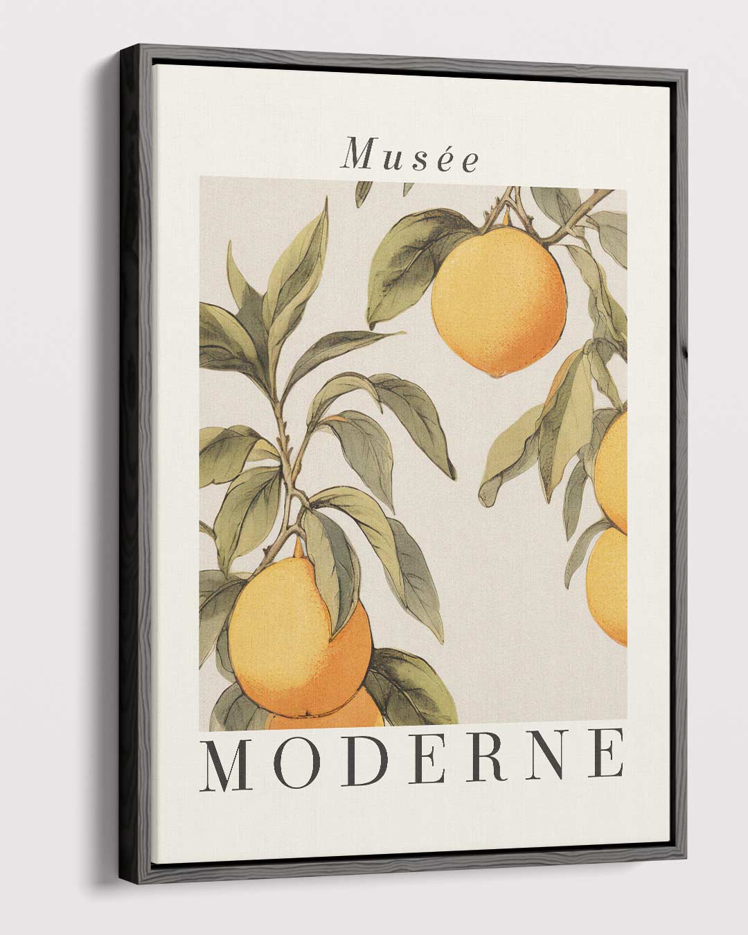 Moderne Citrus Kunstprint Kunstwerk-canvas-dibond-plexiglas-wanddecoratie-WallArtistic