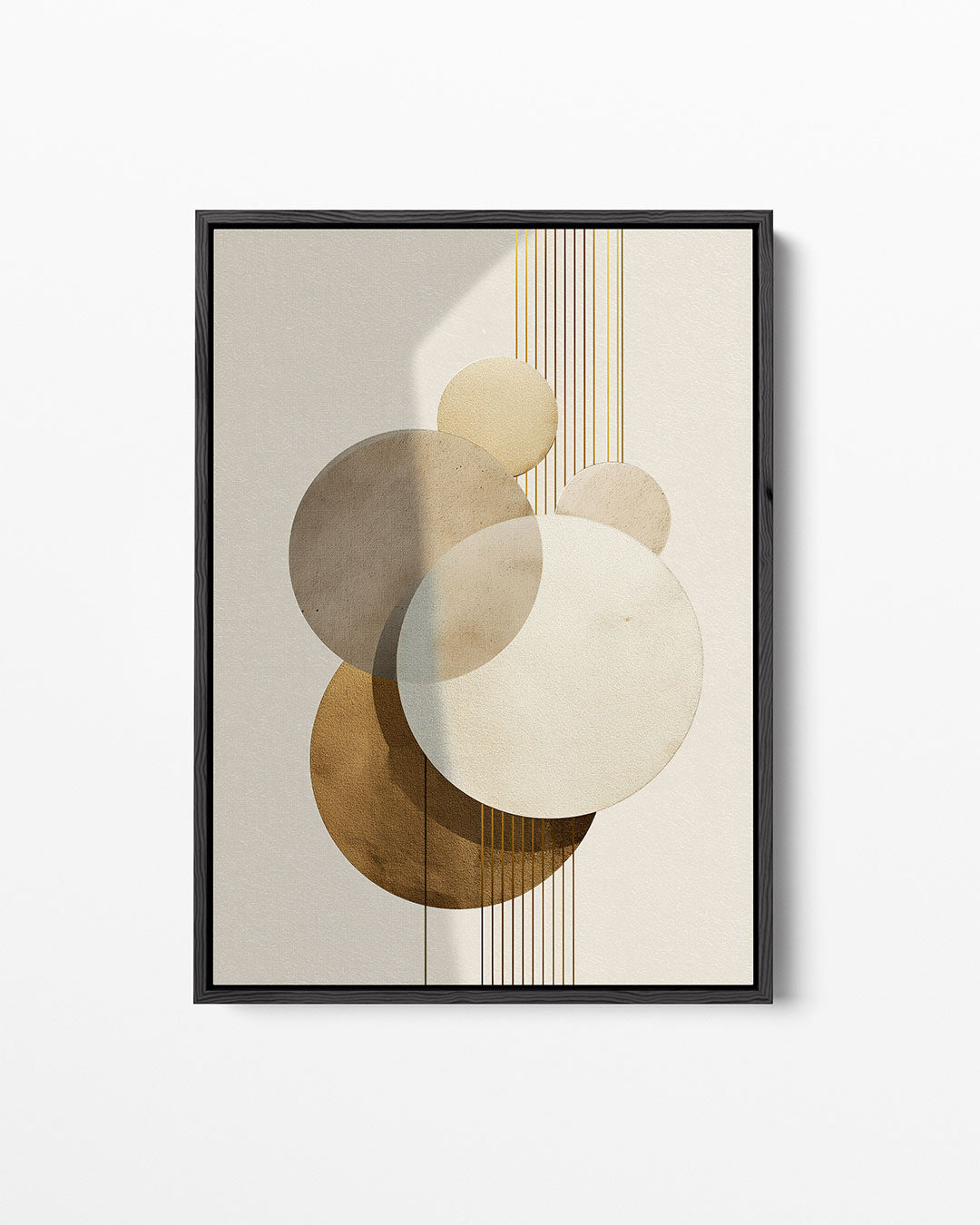 Geometrische cirkels Kunstwerk