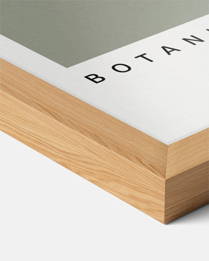 Botanica Bloemenkunst Poster-WallArtistic