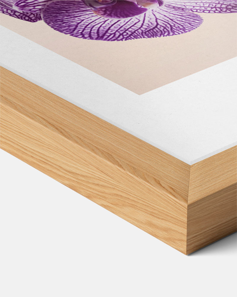 Moderne Bloemenpracht Poster-WallArtistic