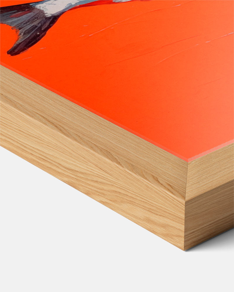 Vier Visjes op een Rijk Oranje Canvas Poster-WallArtistic