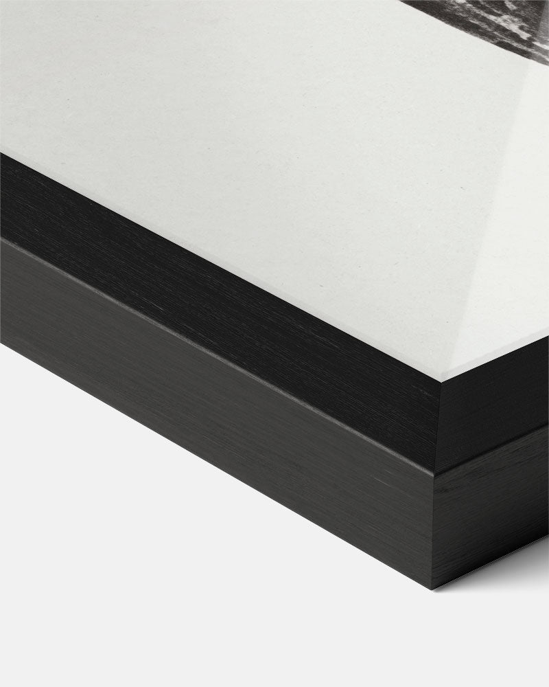 Zwart-witte Bladeren Kunstposter-WallArtistic