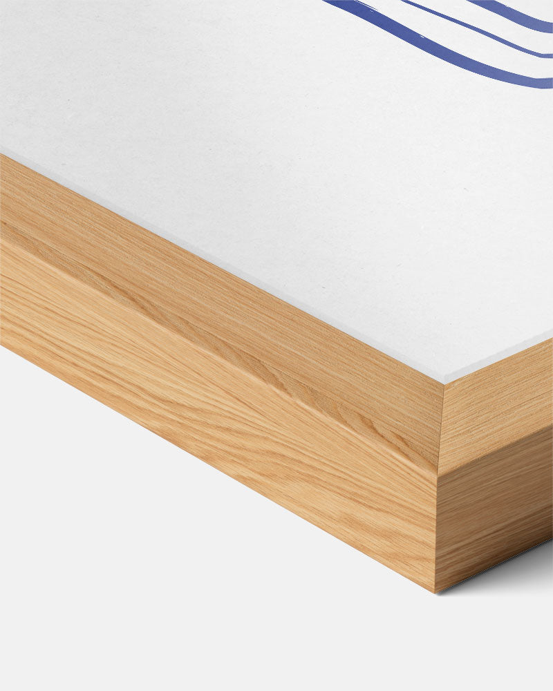 Zeevruchten Illustratie Poster-WallArtistic