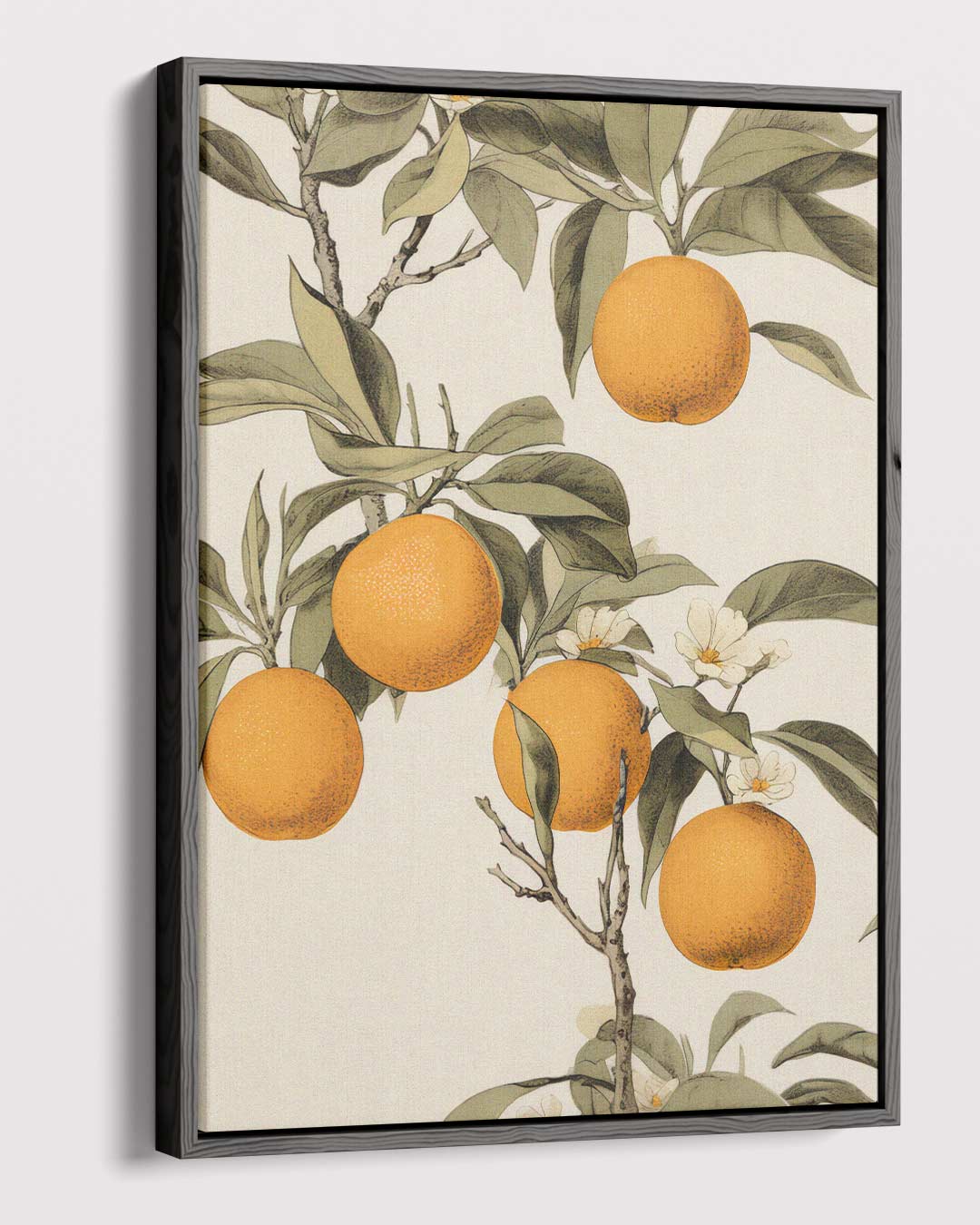 Zonnige Sinaasappelboom Illustratie Kunstwerk-canvas-dibond-plexiglas-wanddecoratie-WallArtistic