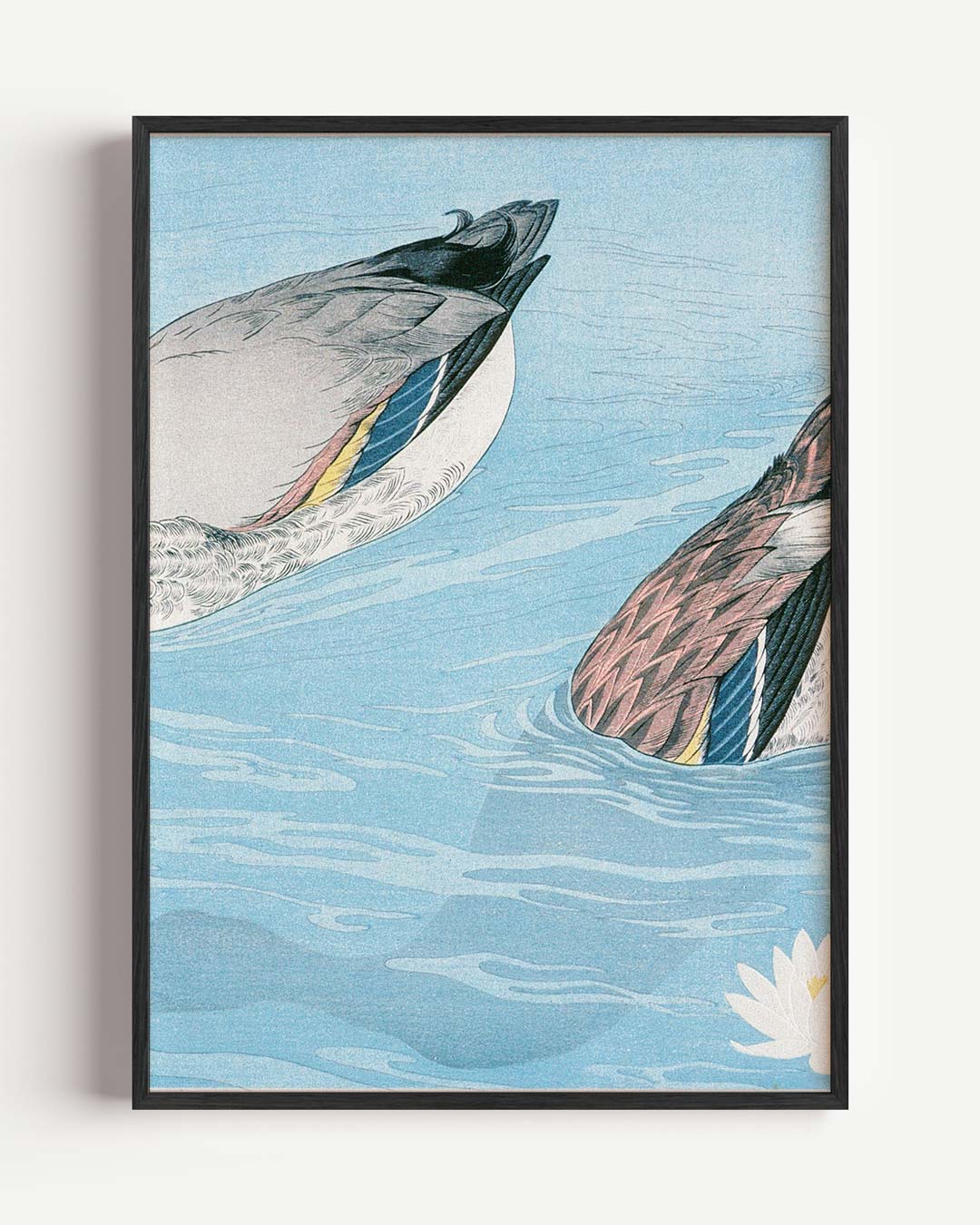 Rustige Eendendans Poster-WallArtistic