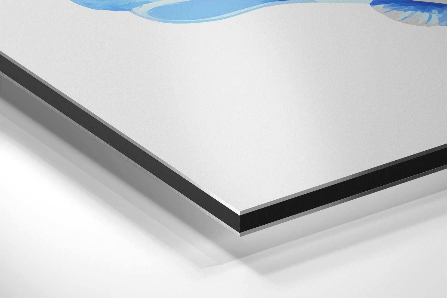 Blauwe Schelpenpracht Kunstwerk-canvas-dibond-plexiglas-wanddecoratie-WallArtistic