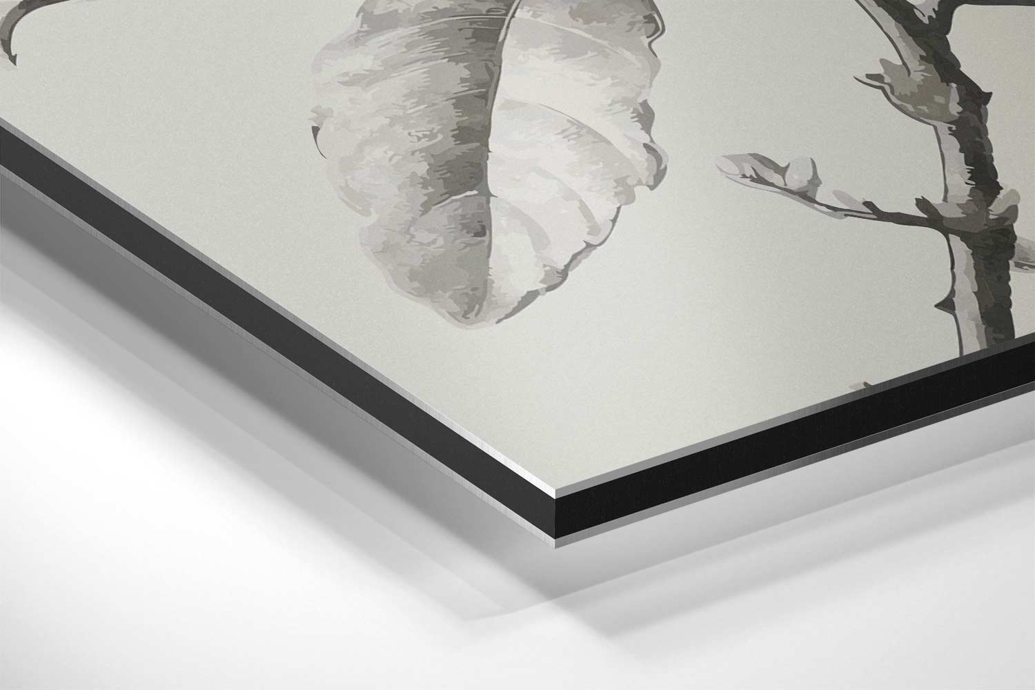 Botanische Schets in Zwart-Wit Kunstwerk-canvas-dibond-plexiglas-wanddecoratie-WallArtistic