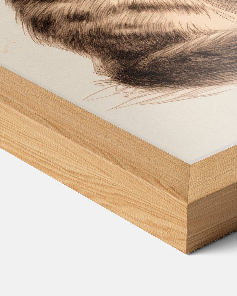 Schattige Kat Tekening Poster-WallArtistic