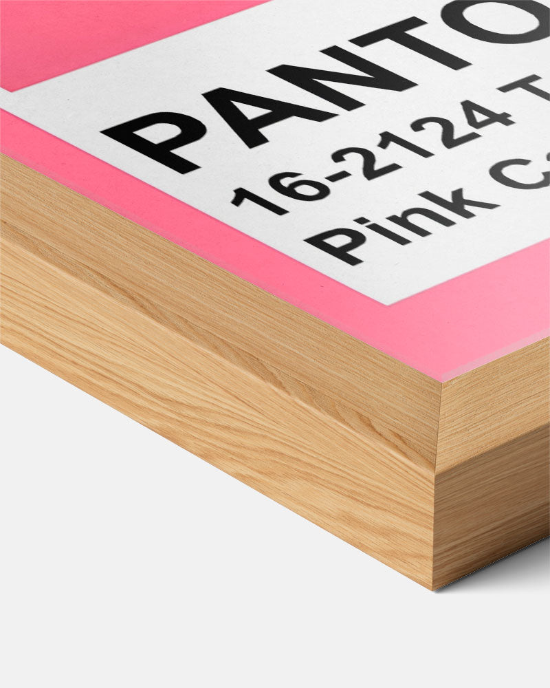 Pantone Pink Carnation Poster