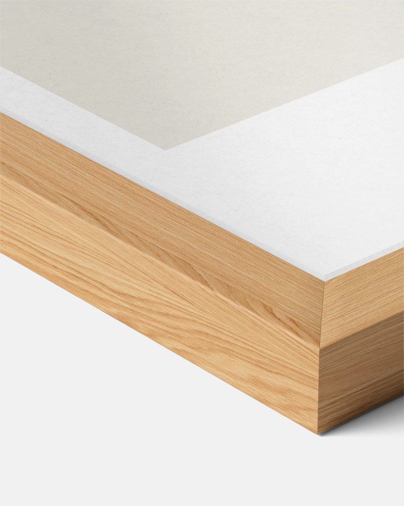 Botanische Elegantie Poster-WallArtistic