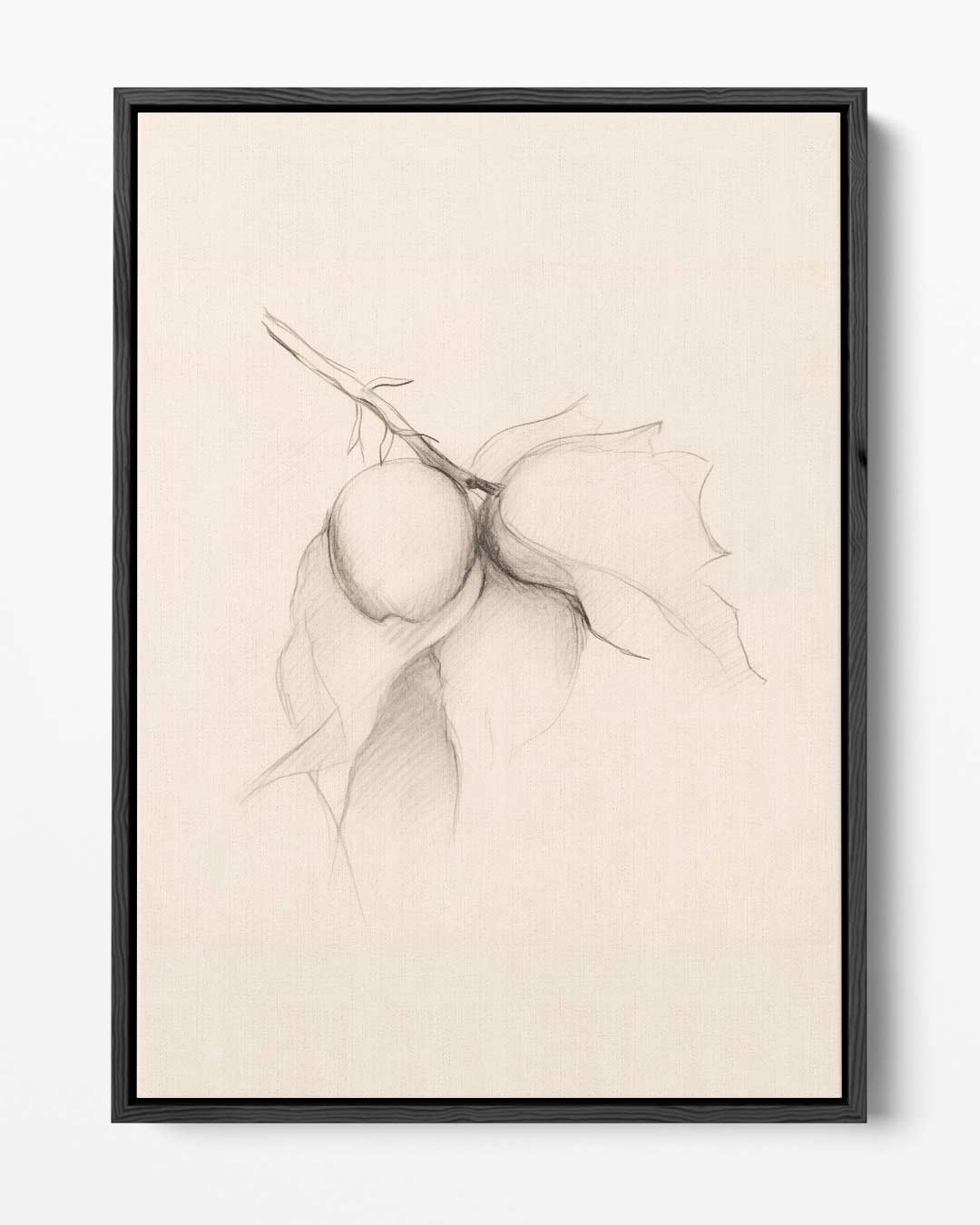 Potloodschets van Tak met Vruchten Kunstwerk-canvas-dibond-plexiglas-wanddecoratie-WallArtistic