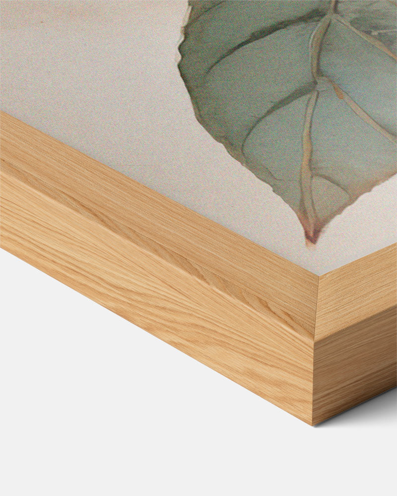 Abstracte Poster-WallArtistic