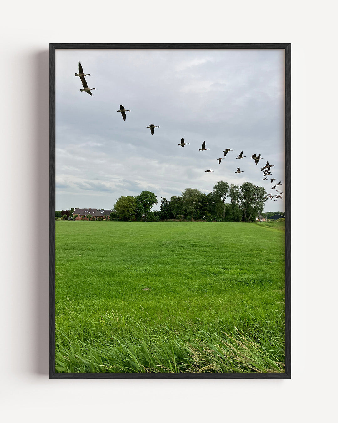 Vliegende vogels Poster