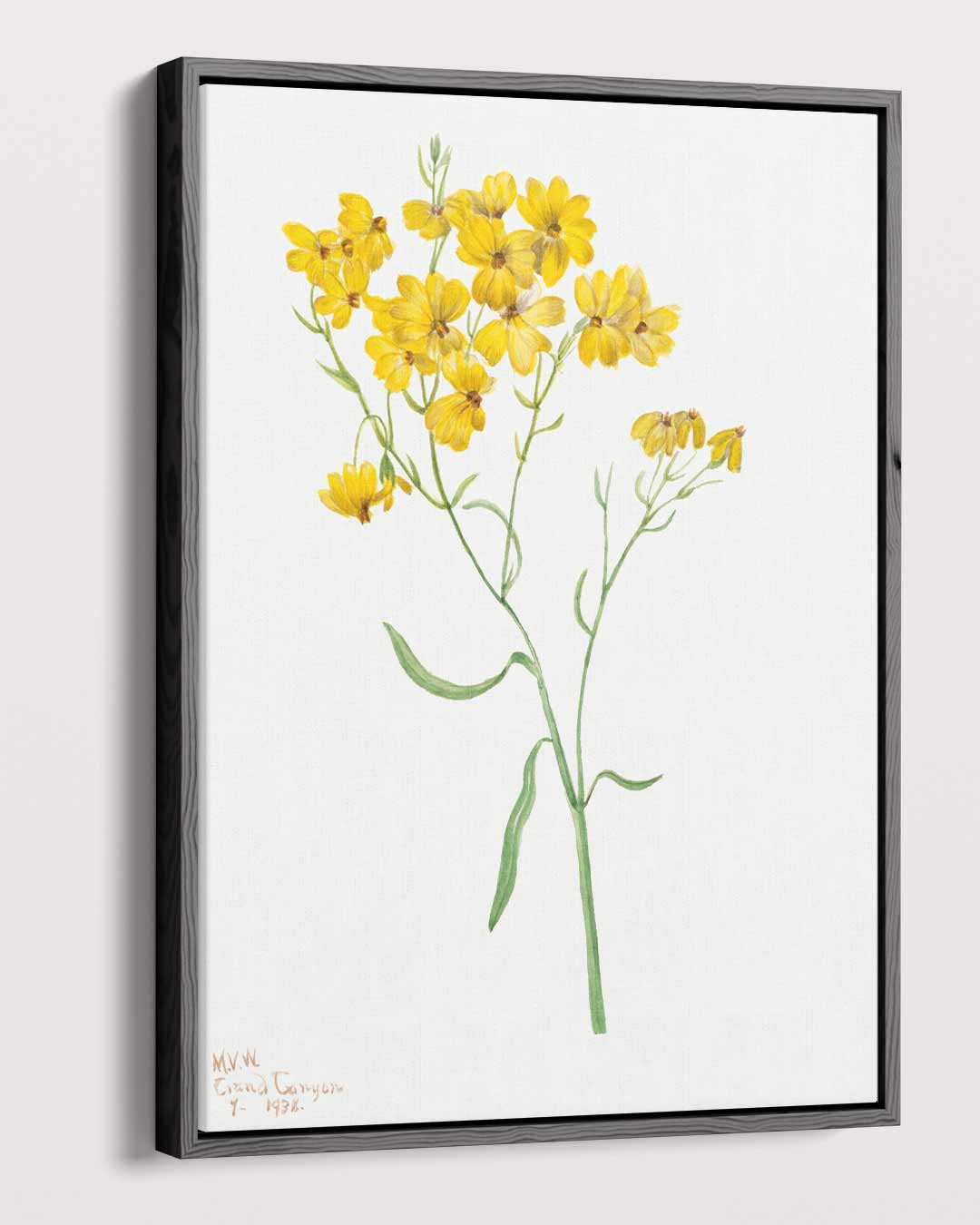Zonneschijn in Bloei Kunstwerk-canvas-dibond-plexiglas-wanddecoratie-WallArtistic