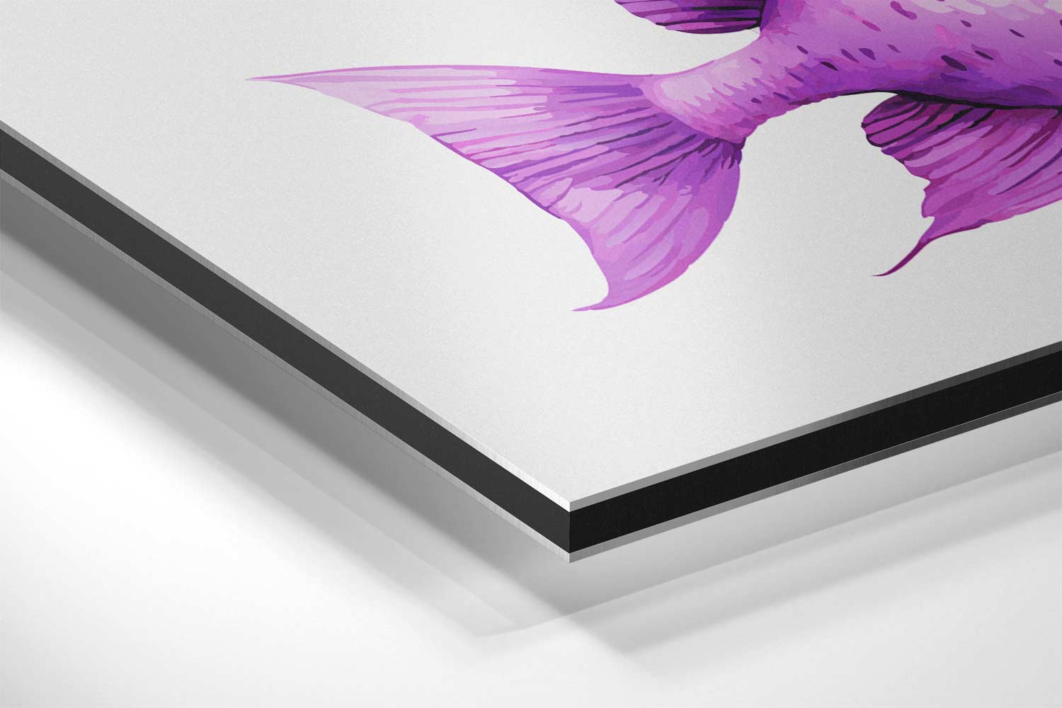 Speelse Paarse Vistrio Kunstwerk-canvas-dibond-plexiglas-wanddecoratie-WallArtistic
