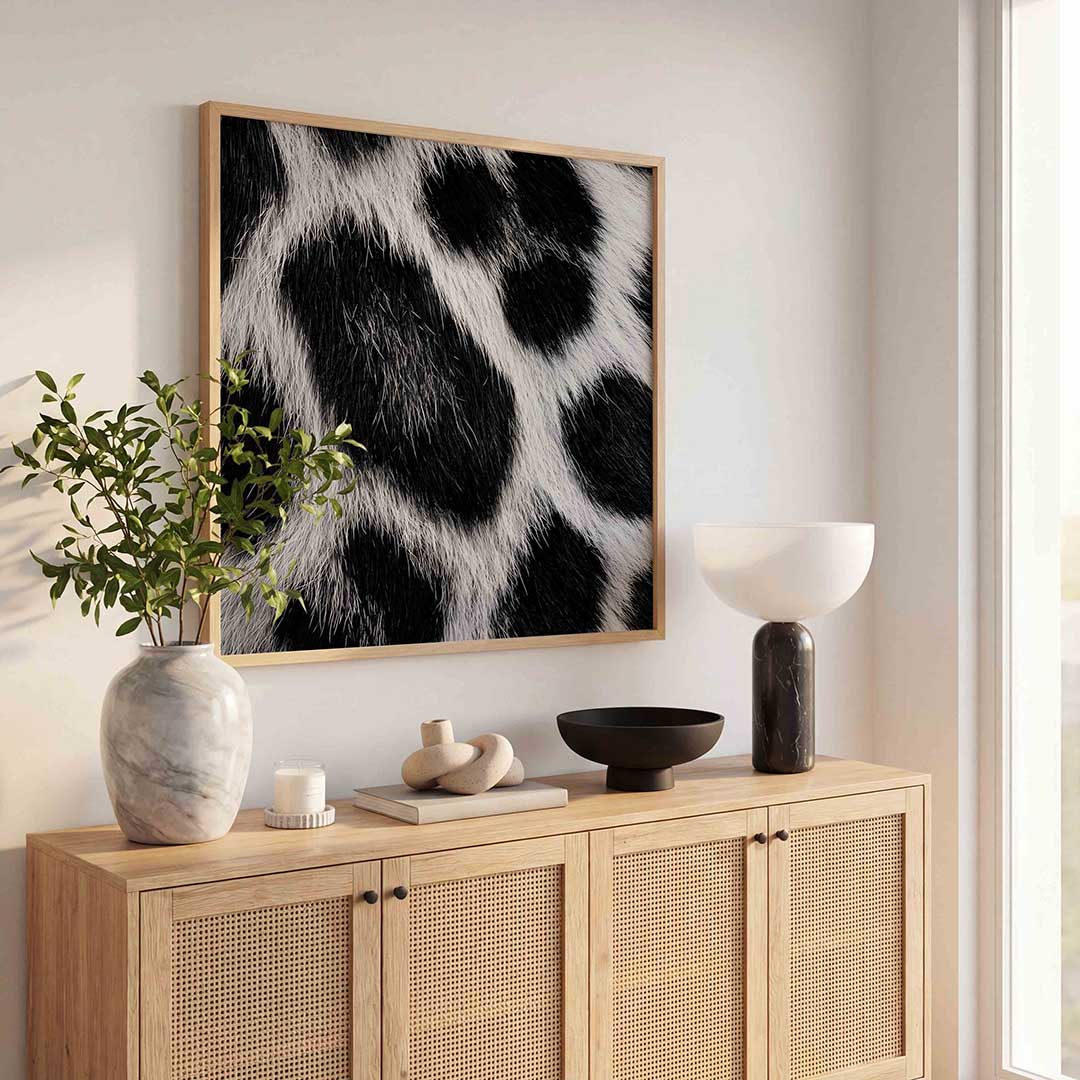 Zwart witte vacht Poster