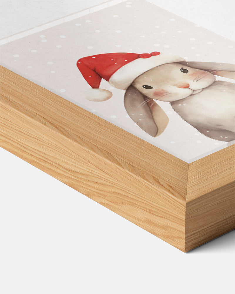 Kerstkonijn Poster