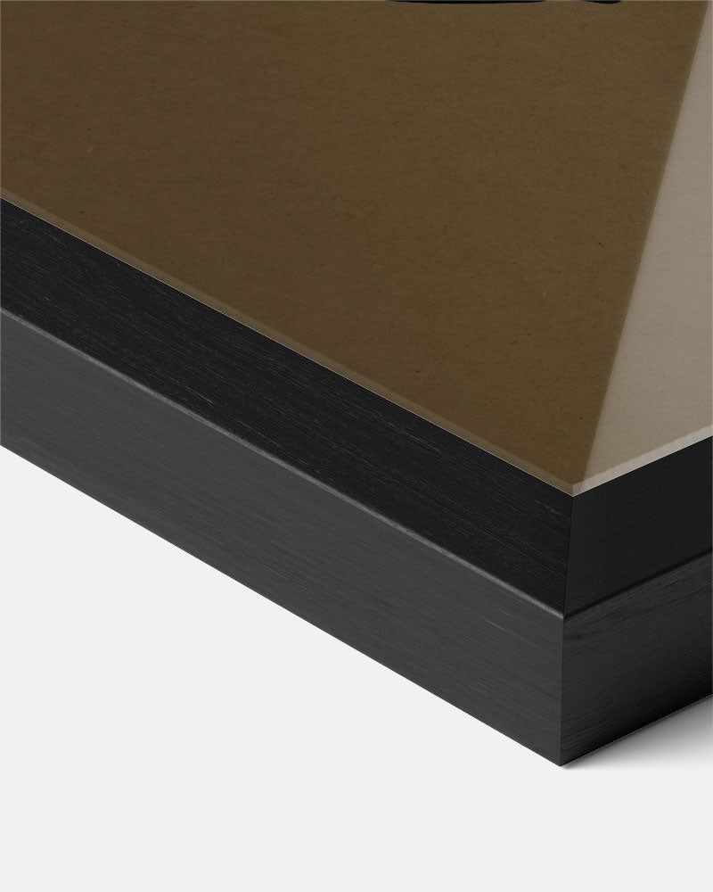 Monstera Blad Abstracte Poster-WallArtistic