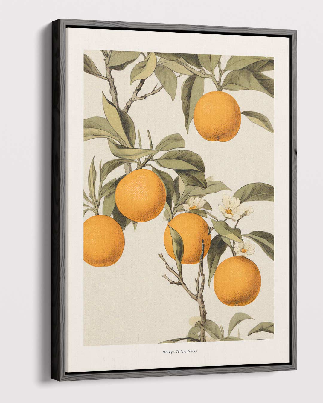 Vintage Sinaasappel Illustratie Kunstwerk-canvas-dibond-plexiglas-wanddecoratie-WallArtistic