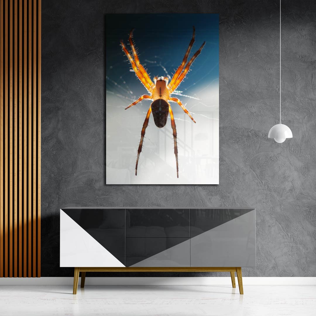 Betoverende spinnenwebkunst Poster
