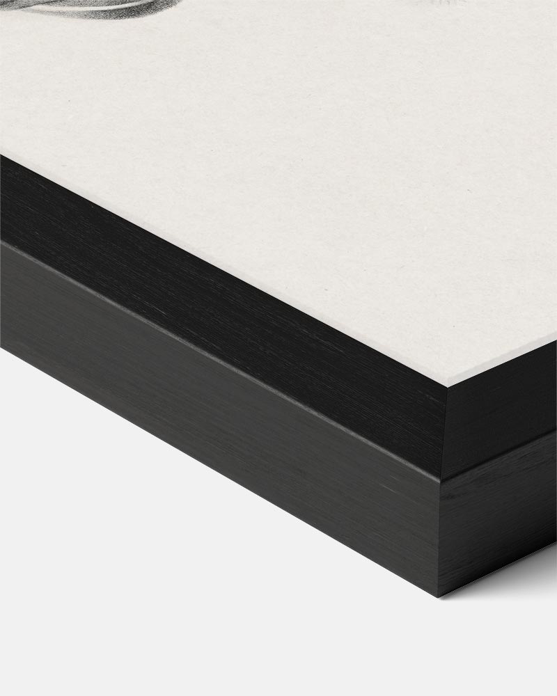 Elegante Schets van Mysterie Poster