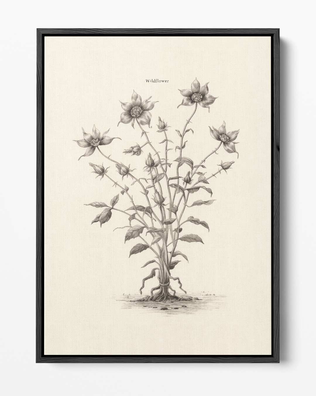 Sierlijke Wilde Bloem Illustratie Kunstwerk-canvas-dibond-plexiglas-wanddecoratie-WallArtistic