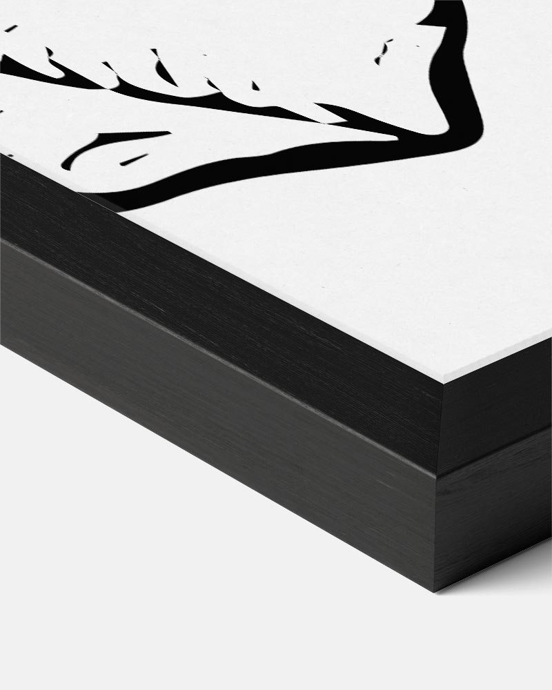 Zwart-wit Zeedieren Poster-WallArtistic