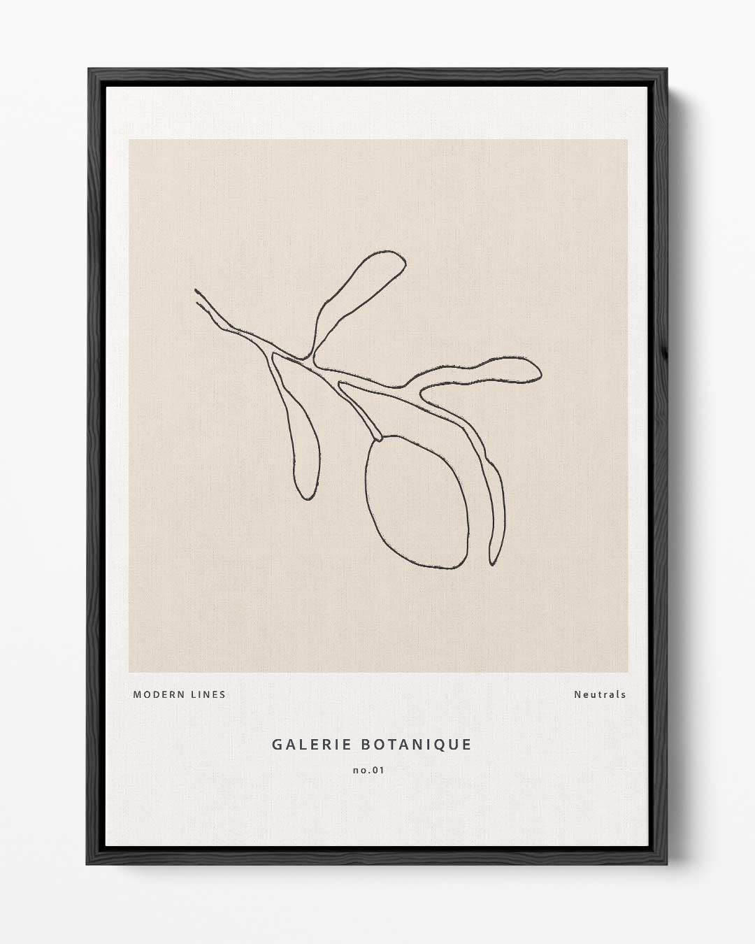 Moderne Botanische Lijnen Kunstwerk-canvas-dibond-plexiglas-wanddecoratie-WallArtistic