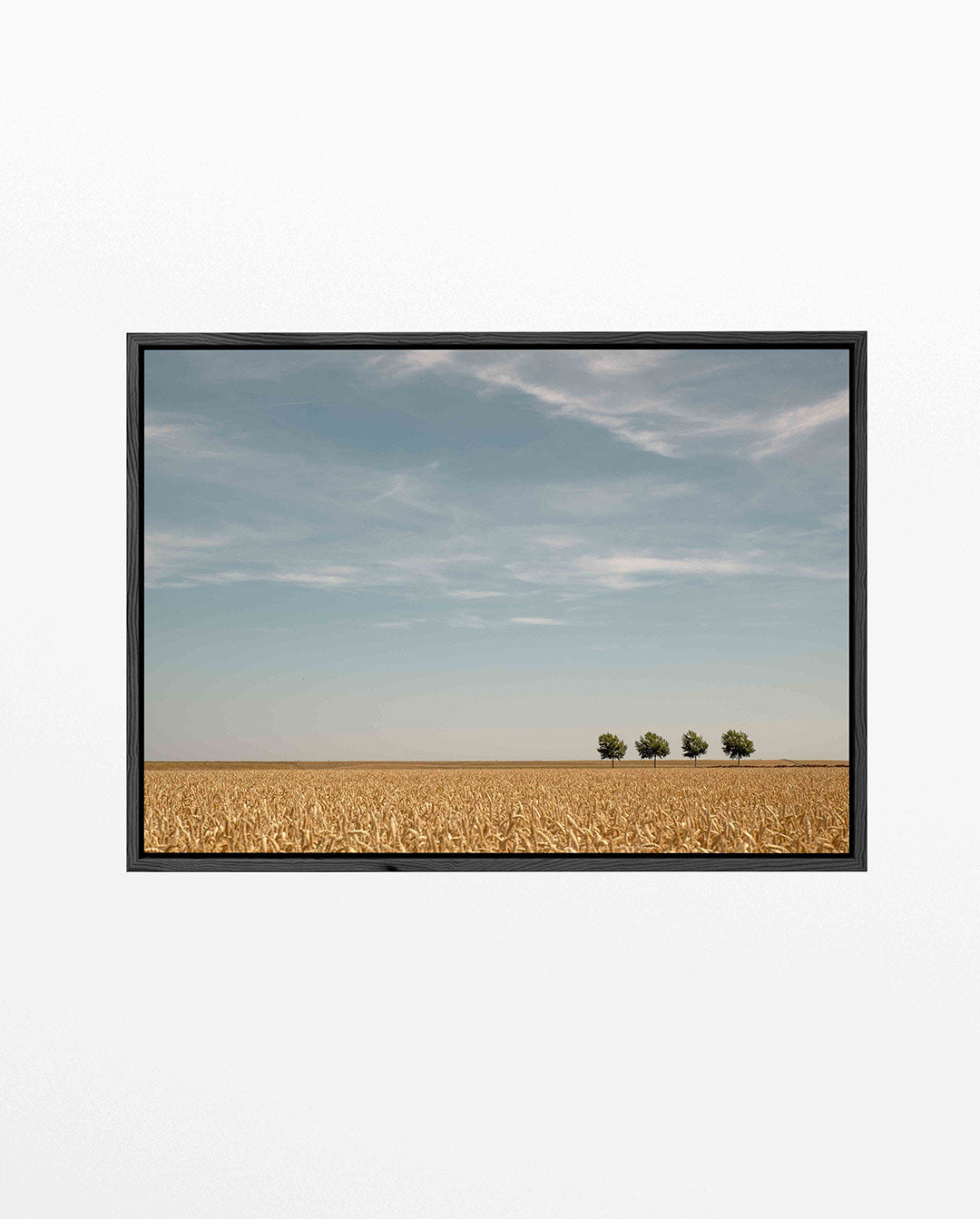 Rustige landschap Kunstwerk