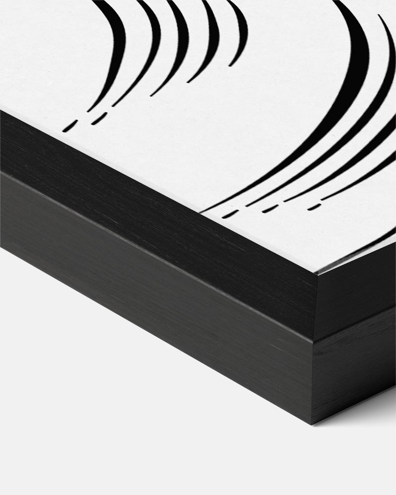 Elegante Schelpentekening Poster